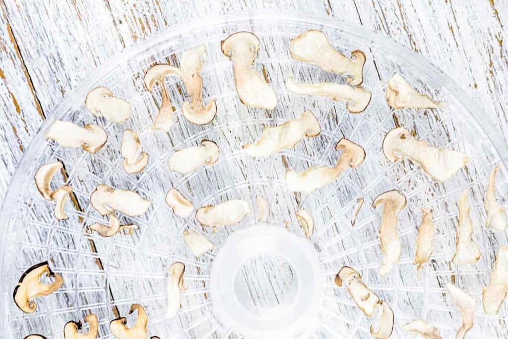 How To Dry Mushrooms - Best Clean Eating How To Dry Mushrooms - Best Clean Eating