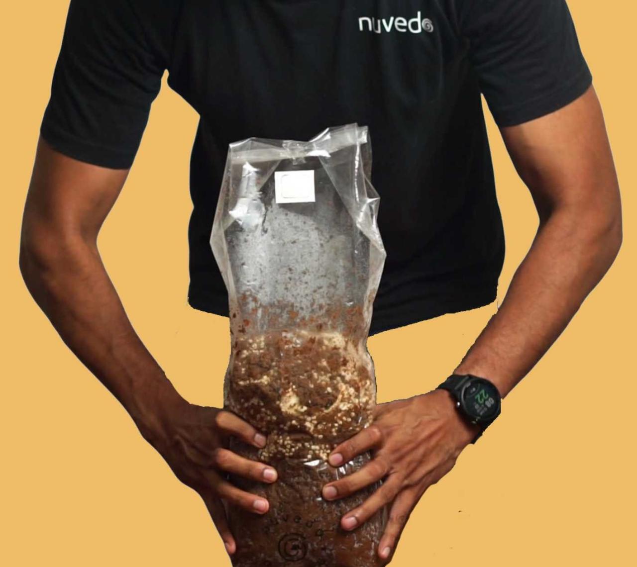 Beginner's Guide to Mushroom Farming