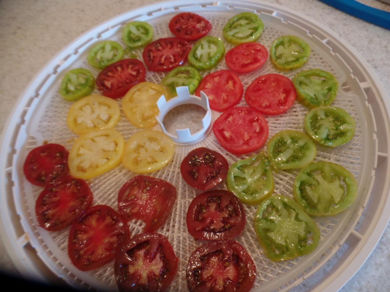 Growing Organic : Dehydrating To Preserve the Harvest