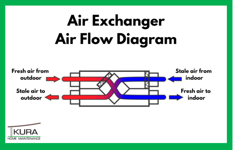How To Grow Your Own Fresh Air How To Grow Your Own Fresh Air