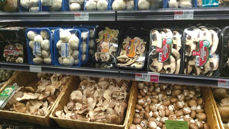 Can You Grow Mushrooms from the Store? A Comprehensive Guide - Garden ... Can You Grow Mushrooms from the Store? A Comprehensive Guide - Garden ...