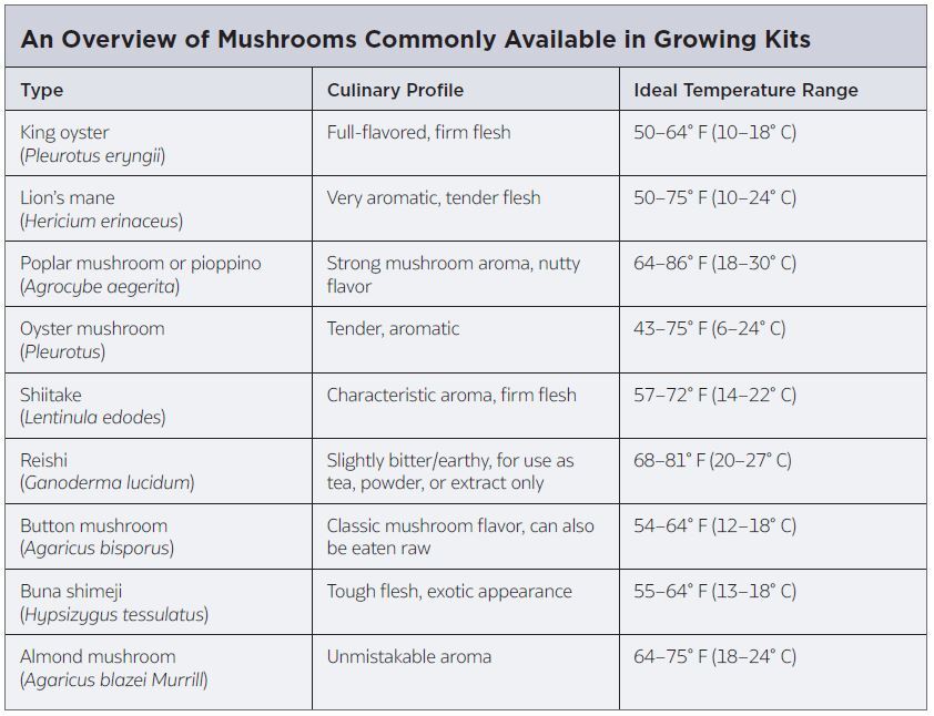 The Key Role of Humidity Control in Mushroom Growing - Industrial ...